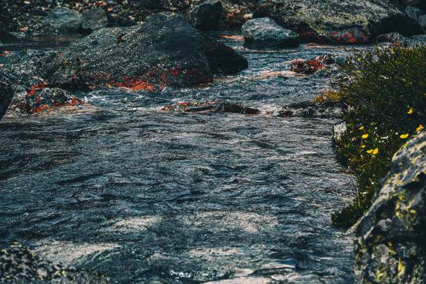 rivière de montagne forte. flux rapide de flux parmi les roches. flux bleu d’eau seethes dans les roches - north cascades national park cascade range river waterfall photos et images de collection