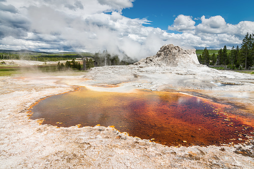 Yellowstone National Park Tortoise Shell Spring Castle Geyser. Steaming Tortoise Shell Spring with famous Castle Geyser in the background inside Yellowstone National Park under blue summer Skyscape. Yellowstone National Park, Wyoming, USA, North America