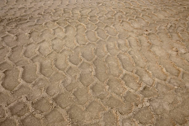 Car wheel marks print on sand texture background