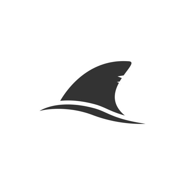 ilustraciones, imágenes clip art, dibujos animados e iconos de stock de ilustración vectorial de símbolo de aleta de tiburón aislada - aleta parte del cuerpo animal