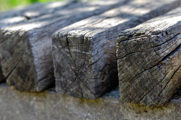 Old Cracked Wooden Bars Closeup. Texture of dry weathered wood outdoors. Selective focus.