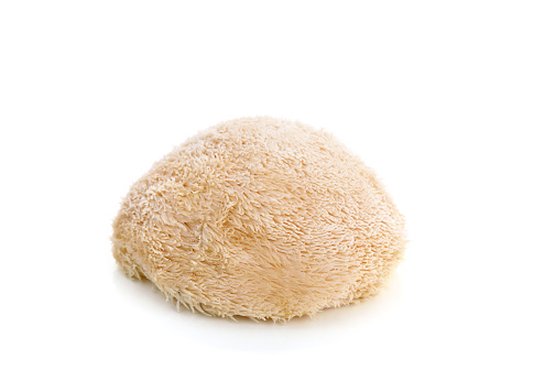 Lion mane mushroom isolated on white