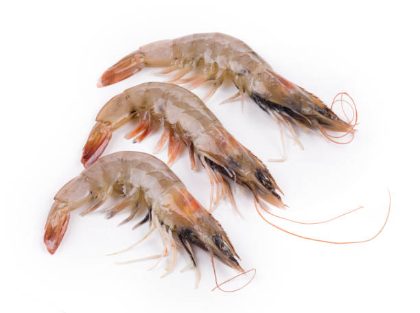 istock Tasty shrimps. 1221757918