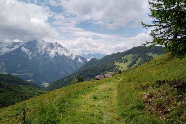 istock June Day in the Alps 1221758406