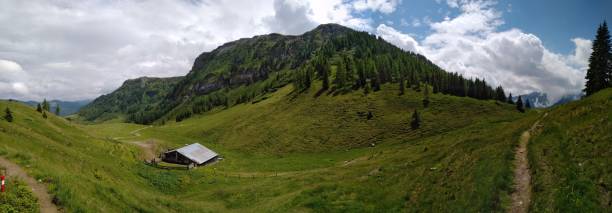 istock June Day in the Alps 1221758411