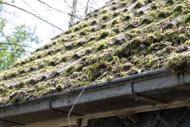 istock Dirty roof with dense moss and gutter with leaves and moss, requiring cleaning 1221762963