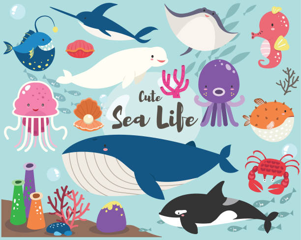 Cute Sea Life Collection Set A vector illustration of Cute Sea Life Collection Set. Perfect for invitation, web design, scrapbooking, papers, card making, stationery, card and many more. funny lobster cartoon stock illustrations