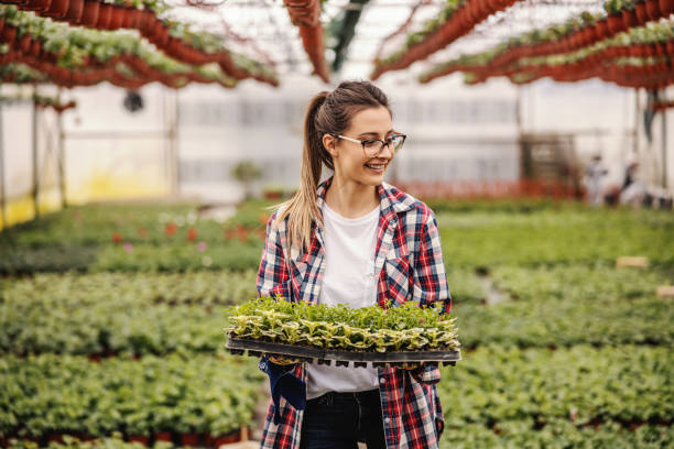 istock Young smiling entrepreneur standing in hothouse looking and holding saplings. 1221767336