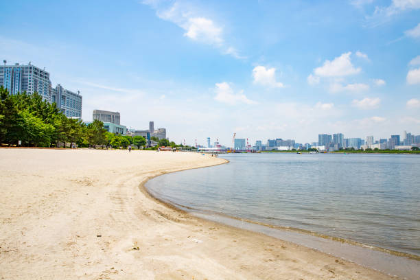 A sunny day at Odaiba beach and Tokyo Bay (Tokyo, Japan)