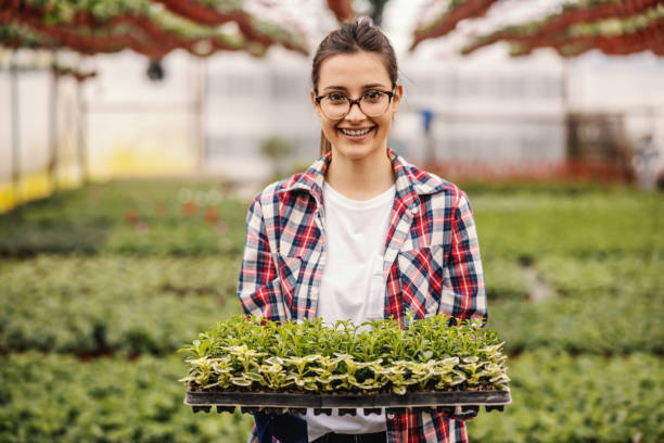 Young smiling entrepreneur standing in hothouse holding saplings and looking at camera..
