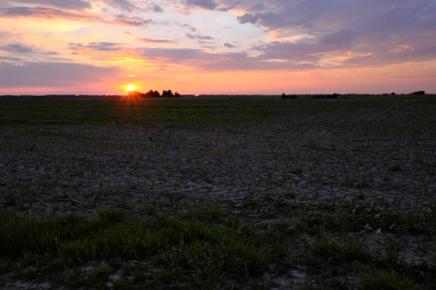 istock Beautiful sunset in the field. Cloudy sky. Landscape. 1221768193