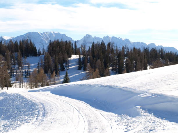 istock Winter landscape in the Alps 1221768263