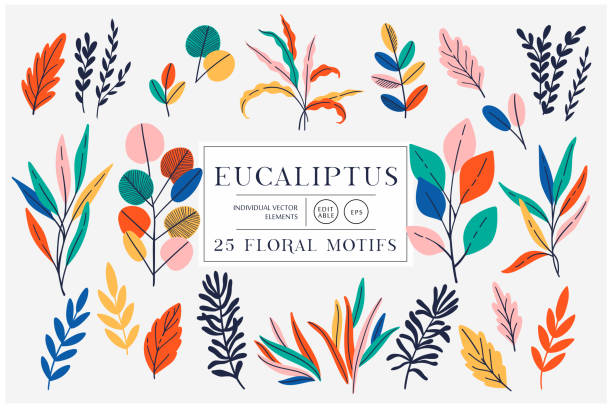 illustrazioni stock, clip art, cartoni animati e icone di tendenza di eucalipto impostato isolato su sfondo luminoso - flora illustrazioni