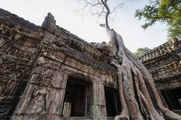istock Ta Prohm Temple, Angkor Temple overgrown by massive trees after abandoned for centuries, Siem Reap, Cambodia 1221776298