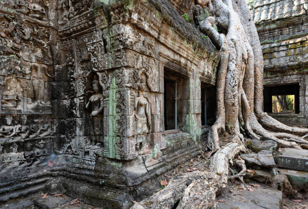 istock Ta Prohm Temple, Angkor Temple overgrown by massive trees after abandoned for centuries, Siem Reap, Cambodia 1221776313