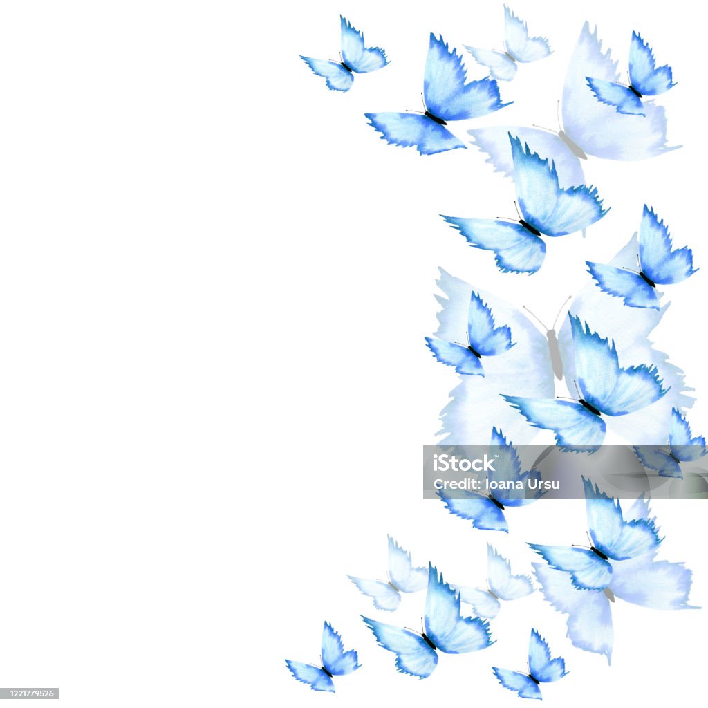 Khung Bướm Xanh Với Không Gian Sao Chép Nền Bướm Xanh Trừu Tượng ...