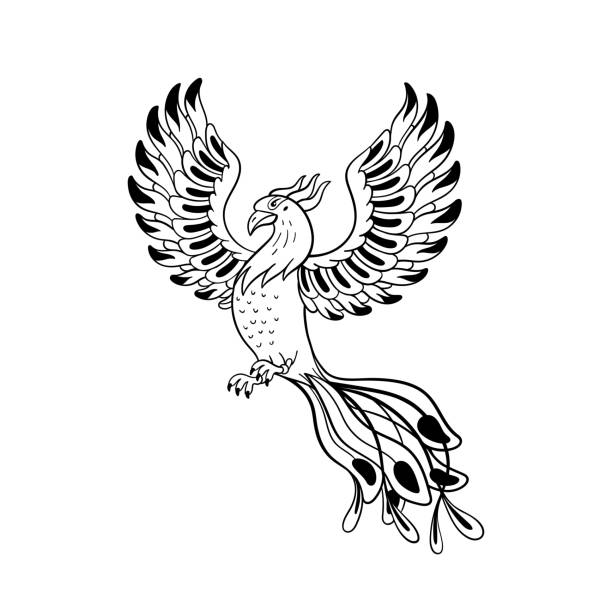 волшебные существа набор. мифологическая птица - феникс. дудл стиль черно-белый вектор иллюстрации изолированы на белом фоне. татуировка ди - phoenix fire tattoo bird stock illustrations