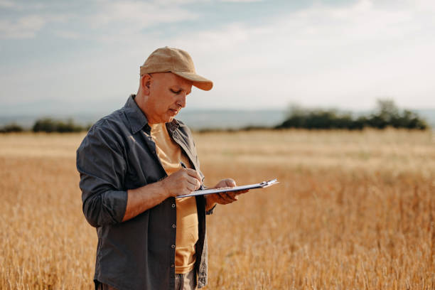 istock Farmer controlled harvest in his field 1221784590