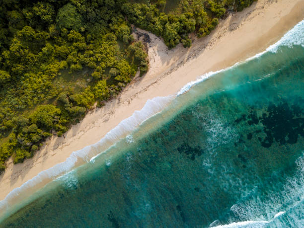 istock Aerial view of tropical beach 1221785898