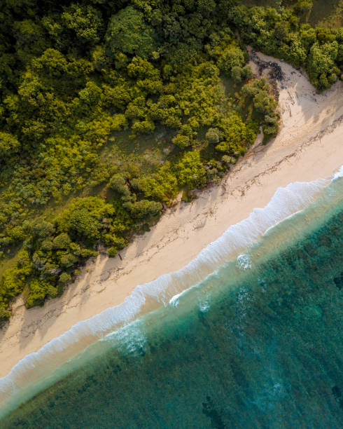 istock Aerial view of tropical beach 1221785900