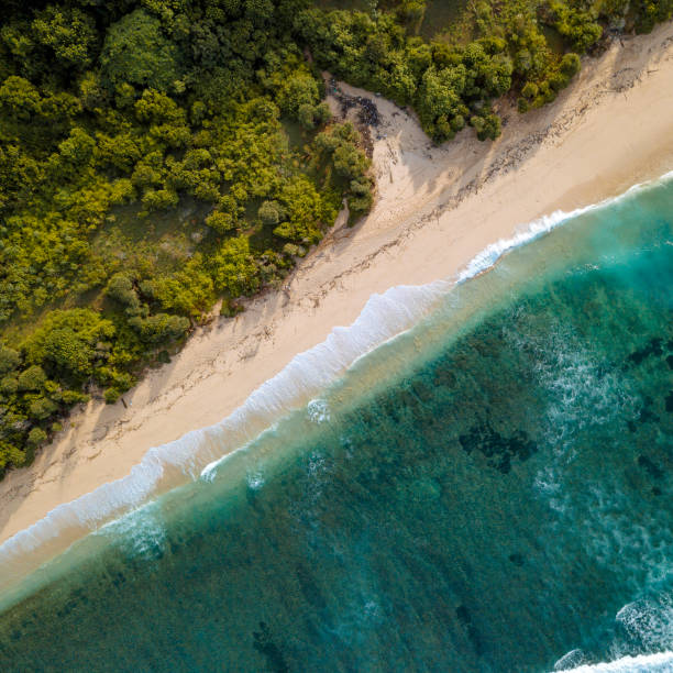istock Aerial view of tropical beach 1221785934