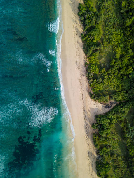 istock Aerial view of tropical beach 1221785941