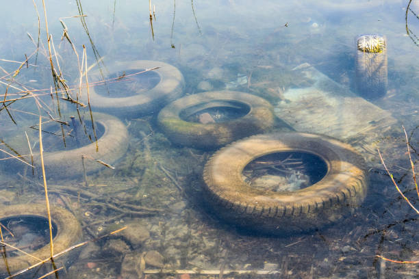 Old unnecessary car tires in muddy pond water
