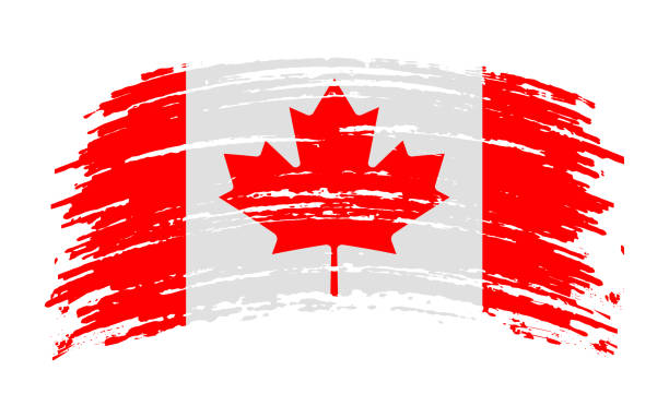 kanada-flagge in grunge pinselstrich, vektor - canadian flag canada flag freedom stock-grafiken, -clipart, -cartoons und -symbole