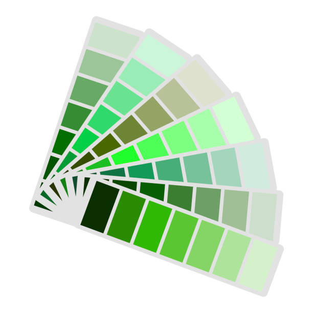 40+ Shades Of Green Color Chart Stock Illustrations, Royalty-Free