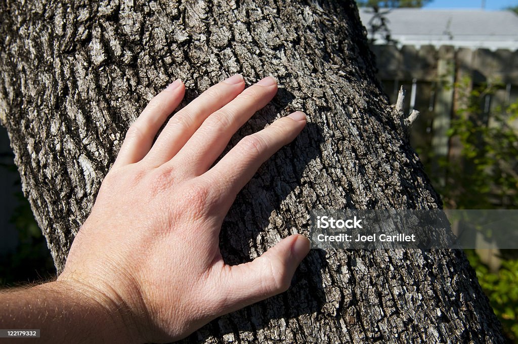 Hand  Color Image Stock Photo