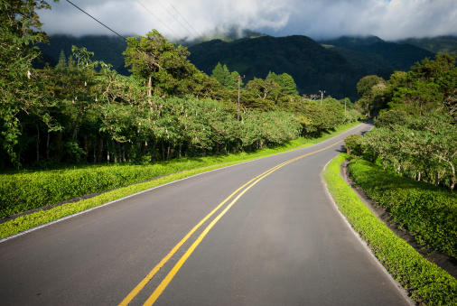 Empty Road through tropical landscape in Boquete, Panama
