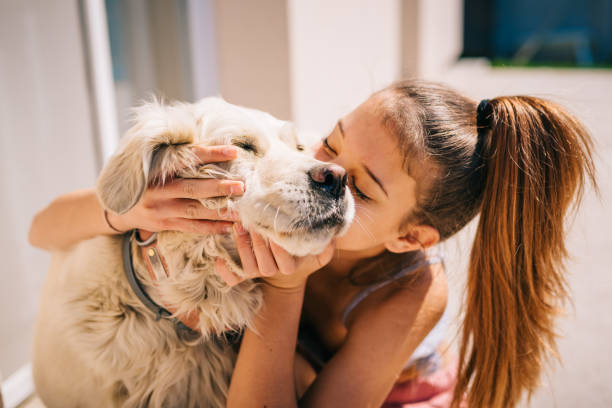 kinder lieben hunde | hugging kissing - küssen stock-fotos und bilder