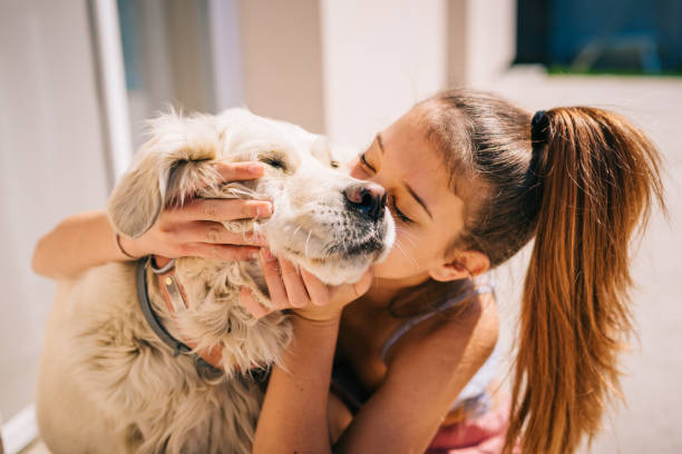 perros amantes de los niños besos abrazados - besar fotografías e imágenes de stock