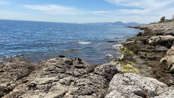 istock Extreme terrain near the sea 1221794503