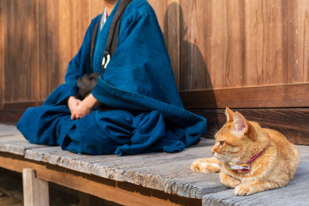 istock A monk with a cat in a temple 1221794549