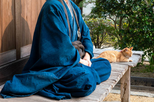 istock A monk with a cat in a temple 1221794589