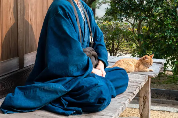 A monk with a cat in a temple