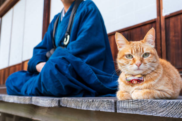 A monk with a cat in a temple