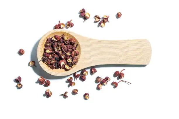 Macro Sichuan pepper or huajiao in wooden spoon isolated on white background, with unique aroma and flavor commonly used in Sichuan  dishes such as Mapo Tofu & hot pot.