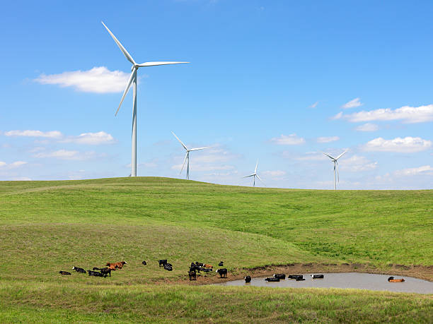Electric Windmills stock photo