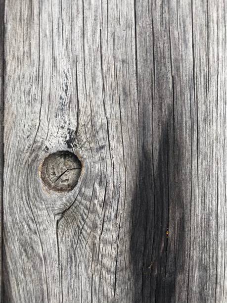 istock Wood picture background with different patterns of wood 1221796894