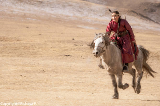 mongolska kobieta ludzie w tradycji ubrania na jazda konna przenieść się z miejscowości ger w mongolii w krajobrazie deser mongolii. - imię zwierzęcia zdjęcia i obrazy z banku zdjęć
