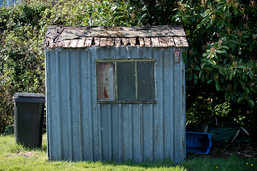 Old distressed shed made of corrugated iron panels with rotted wooden roof and broken windows against background of green bushes surrounded by plastic pots and bins