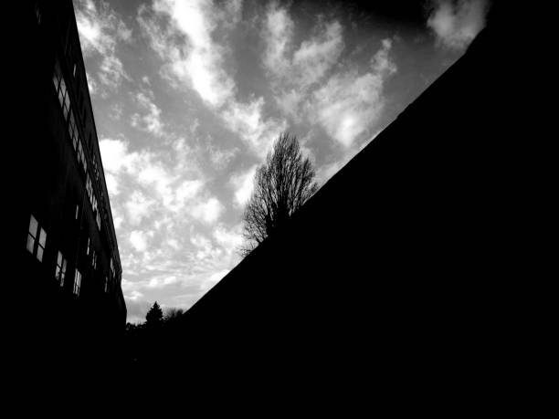 istock Digital black and white photos 1221798274