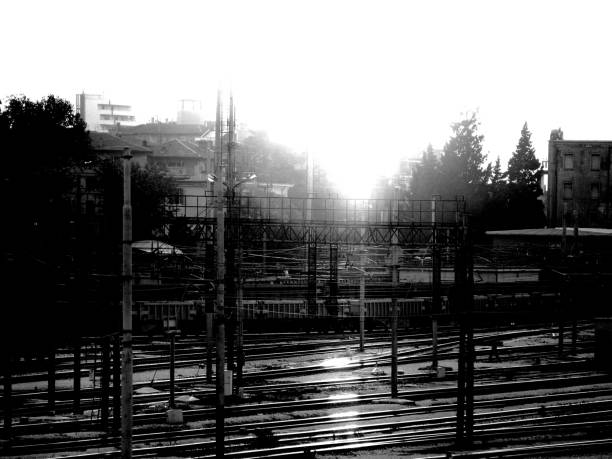istock Digital black and white photos 1221798296