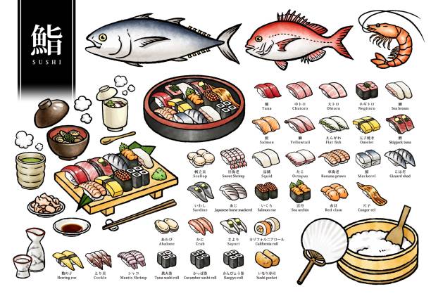 ilustrações de stock, clip art, desenhos animados e ícones de japanese sushi - fish seafood prepared fish nautical vessel