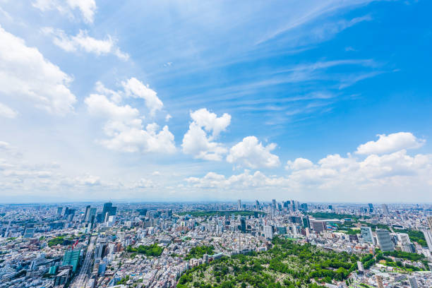 istock Tokyo city skyline , Japan. 1221800412