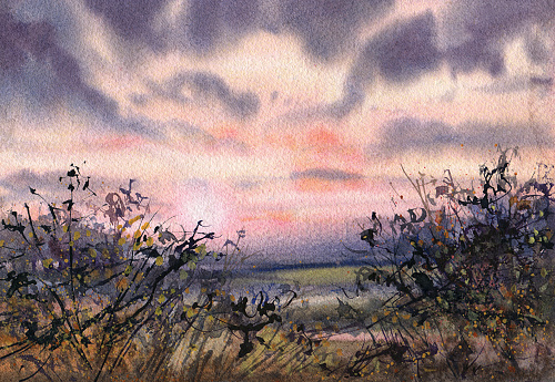 Summer landscape.  Sunset. Watercolor.  Hand-drawn illustration.