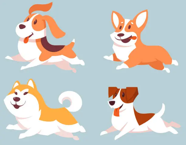 Vector illustration of Set of running dogs.
