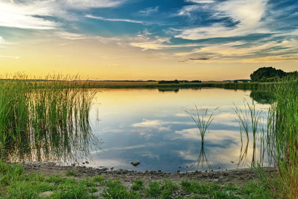 istock Summer sunset at the river with blue sky green trees and water with reflection 1221804716